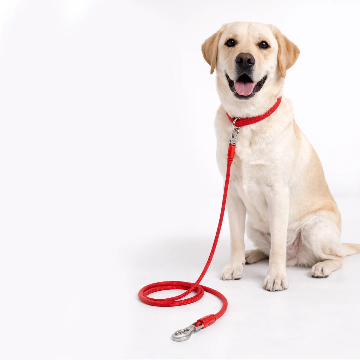 Polypropylene Rope Leash - 11mm/180cm