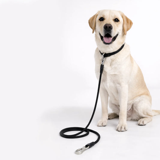 Polypropylene Rope Leash - 8mm/150cm